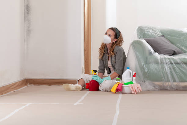 Reliable Mold Remediation contractor in Todd, PA by WQB Mold Removal